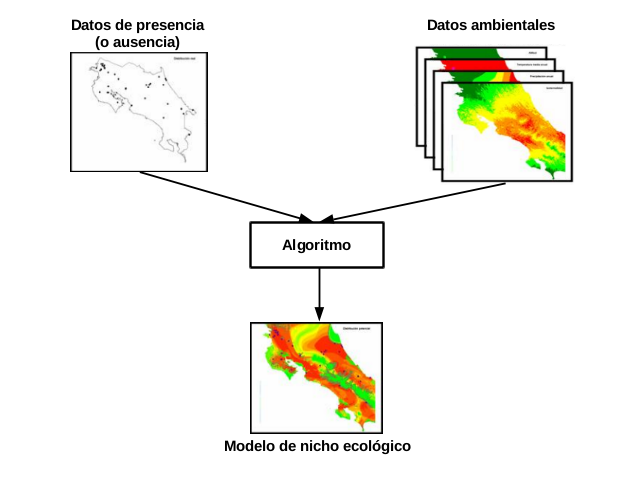 Componentes del modelado de nichos ecológicos