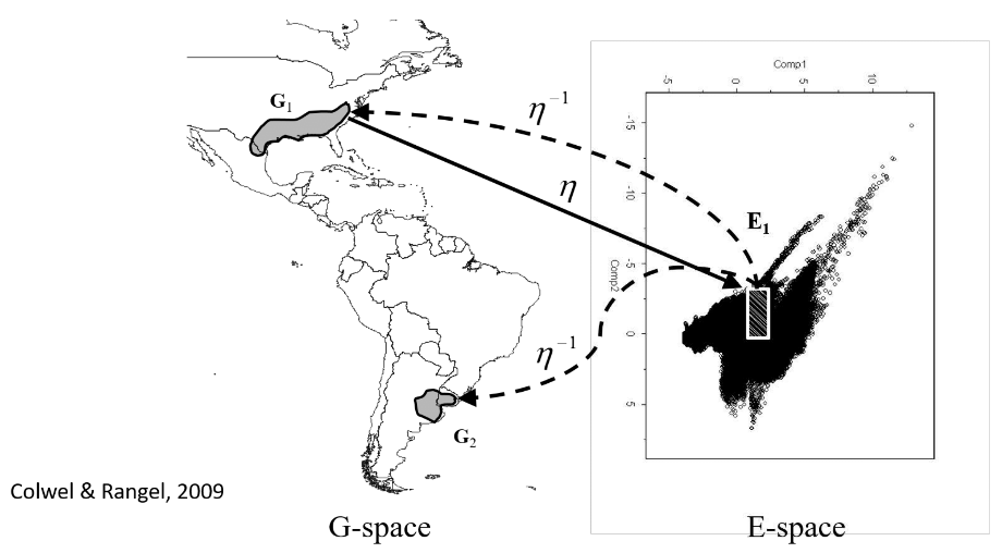 Espacios geográfico y ambiental